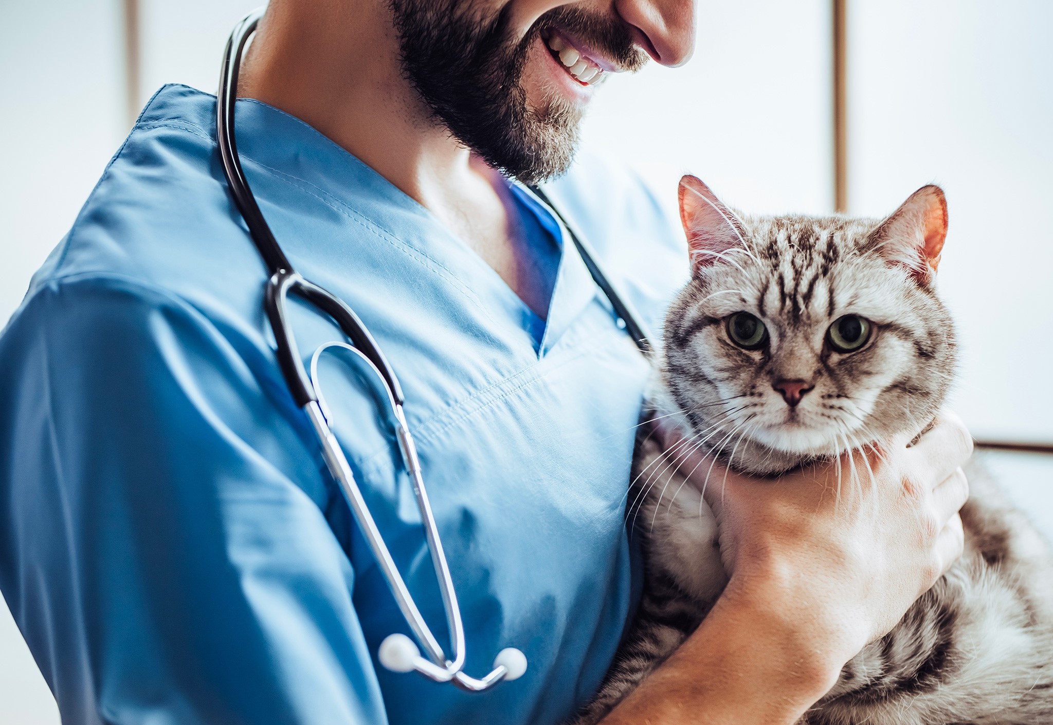 Veterinary Medicine Modernization